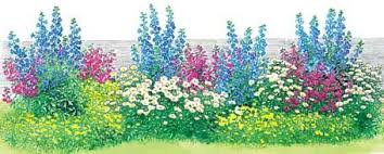 Gestaltungstipps Fur Kleine Staudenbeete Garten Diy Krautergarten Und Staudenbeet