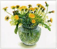 タンポポ 橋本不二子さん 1935 は明るい透明な色彩の水彩やアクリルで 花の絵を描いています watercolor flowers botanical watercolor and ink