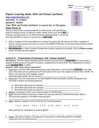 27 students verified as accurate: Building Dna Gizmo Worksheet Answers Building Dna Gizmo Pdf Assignment A2 3 Building Dna Log Some Of The Worksheets Displayed Are Student Exploration Stoichiometry Work Answers Epub Exploration Stoichiometry Answers