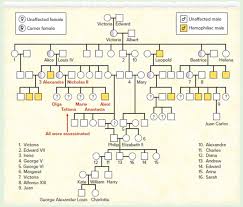 Solved Hemophilia The Royal Diseasethe Pedigree In Figure