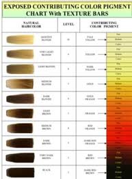 28 Albums Of Color Chart Hair Levels Explore Thousands Of