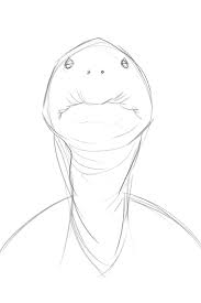 Even looking at still life drawing ideas for inspiration can get you going on realistic animal pencil drawings. Stan Prokopenko