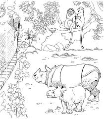774 x 613 file type click the download button to find out the full image of zoo coloring pages preschool printable, and download it for your computer. Sumatran Rhinos In Zoo Coloring Page Free Printable Coloring Pages For Kids