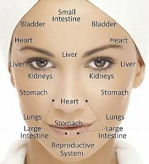 Chinese Face Reading Chart For Acne Puffy Eyes Lines