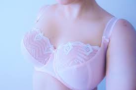 Le dernier red hot chili peppers. Mesh Bra Two Cakes On A Plate