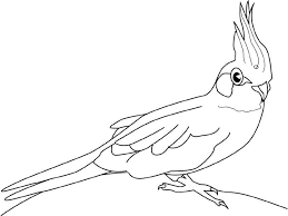 dessins a colorier le blog de juju en 2021 dessin oiseau oiseaux exotiques coloriage commande abc