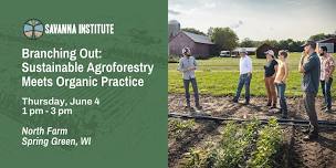 Branching Out: Sustainable Agroforestry meets Organic Practice
