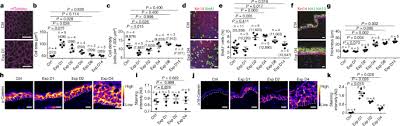 Sperm, male reproductive cell, produced by most animals. Mechanisms Of Stretch Mediated Skin Expansion At Single Cell Resolution Nature