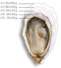 Les Calibres Huitres Charente Maritime Avec Images Huitres Charente Maritime Ile D Oleron