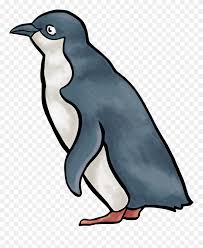 Penguins who live in captivity tend to live longer due to having less stress, fewer they move faster while sledding on snow and ice on their bellies. Penguin Clipart Little Penguin Little Blue Penguin Clipart Png Download 1286646 Pinclipart