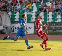 Spartak trnava x sepsi live match. Iqeavbl1ngestm