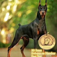 Image result for Dobera