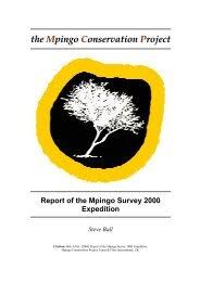 Image result for Congolanthus longidens