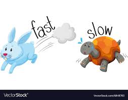 Rabbit Runs Fast And Turtle Runs Slow Royalty Free Vector Learning English For Kids Opposites Preschool English Lessons For Kids