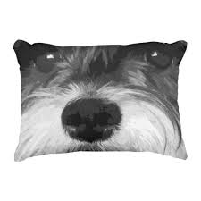 Black And White Miniature Schnauzer A Black And White Miniature Schnauzer Accent Pillow Zazzle Com White Miniature Schnauzer Miniature Schnauzer Black White Style
