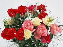 Gambar gambar bunga mawar putih kumpulan gambar. 500 Gambar Bunga Mawar Bergerak Gratis Girlfriend Romantic Love Flowers 1024x768 Wallpaper Teahub Io