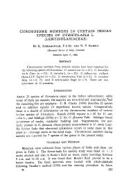 Image result for Utricularia baoulensis