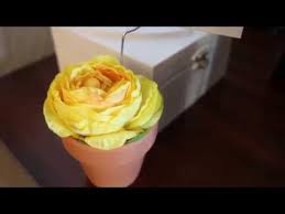 We did not find results for: Coupon For Terra Florist 08 2021