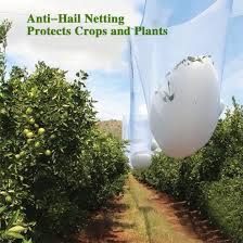 We did not find results for: China Agricultural Plastic Anti Hail Net For Apple Tree China Plastic Net Orchard Apple Hail Net Protection