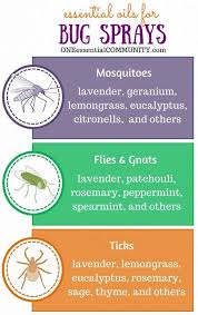 Best way to get rid of gnats without using any chemicals. Diy Bug Spray That Works Kid Safe Options One Essential Community