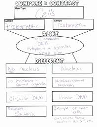 Biological Classification Worksheet Answers 50 Prokaryotes Vs Eukaryotes Worksheet In 2020 In 2020 Life Science Lessons Life Science Middle School Science Lessons