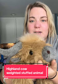 Why didn't I make a weighted Highland Cow stuffed animal? 🤔 #highland...