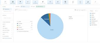 solved pie chart not showing data dojo