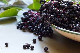 This includes both the thornless and the wild berries. Eight Tasty Berries You Can Find In The Wild