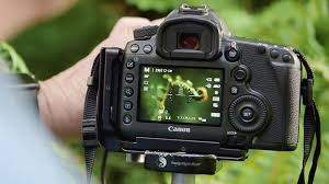 5 Best Cameras For High Res Macro Photography B H Explora Use them to improve your portraits.