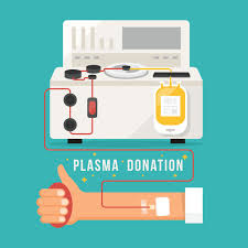 How to donate plasma for money. How Donating Plasma Can Make You Money Basic Travel Couple