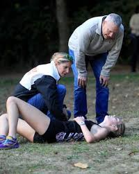 Wednesday's area roundup: H-W boys, girls cross country finish as unbeaten  CAL champs