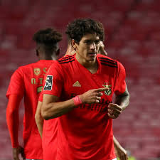 Darwin nuñez application developer at the salvation army new zealand. Sl Benfica On Twitter This Is A Darwin Nunez Appreciation Tweet Thank You Good Night Darwinszn Slbbfs Wearebenfica