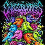 Big Something w The Snozzberries at Victory North