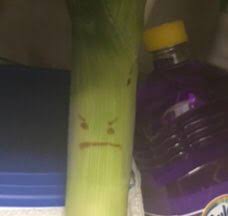 serious leak under the kitchen sink