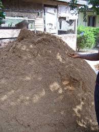 Find information about mushroom compost. Mushroom Compost What It Is What It Does And How To Make It Epic Gardening