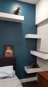 Decorate a little boy's room with primary colors. 29 Cat Bedroom Ideas Cat Bedroom Bedroom Themes Girl Room