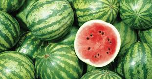 This means the interior of the fruit is extremely dense with sweet juice that is extremely flavorful. 6 Simple Tips To Ensure You Choose A Perfectly Juicy Watermelon Everytime Jesus Daily