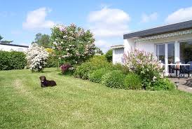 Ferienhauser Eingezaunter Garten Urlaub Mit Hund Ostsee Ferienhaus Mit Hund Deutschland