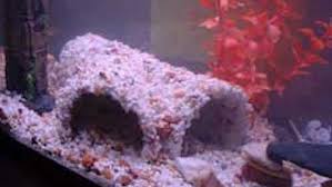 The best part about this tank is that it gives your fish a little bit of variety. Diy Aquarium Projects
