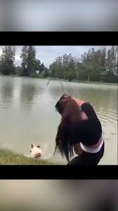 Not Just Amazing For Fishing Video In 2020 Cool Things To Buy Useful Life Hacks Gone Fishing