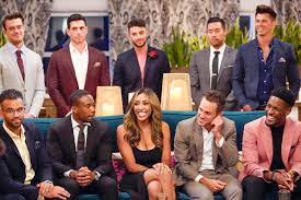 Watch The Bachelorette Season 16 Episode 11 Online Hometown Dates