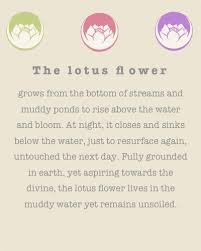 These lotus quotes are reminders that in a hard world, you can stay loving inside and, one by one 20 lotus flower quotes worth pondering. 23 Ideas Flowers Quotes Lotus