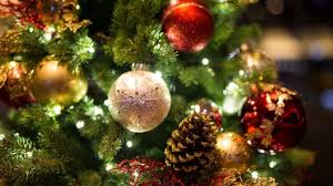 Www.homecomingmagazine.com tangy, savory cranberry meatballs are constantly a preferred at christmas dinner and the recipe can quickly scaled up for holiday parties. Why Do We Have Christmas Trees Cbbc Newsround