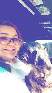 How to find the owner of a lost dog with microchip information in St.  Louis, MO?