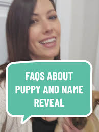 Name Reveal and FAQs About Our New Puppy Suki