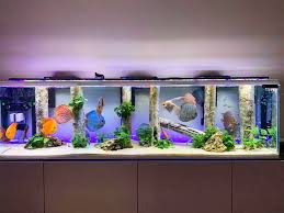 Aquadecor Additional Items Discus Tank Aquarium Landscape Discus
