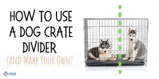 Dog crate 24 inch double door metal (optional divider). How To Use A Dog Crate Divider And Make Your Own