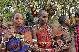 Image result for Selago barabei