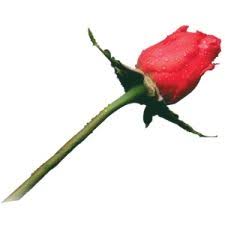 Elaine Barnes Family History & Historical Records