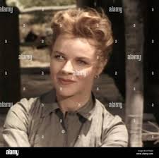 Sally forrest hi-res stock photography and images